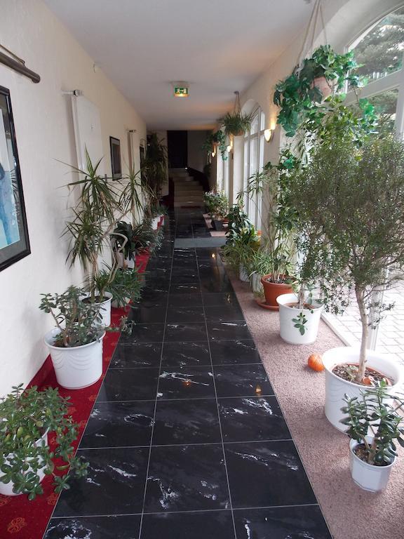 Gasthof Und Landhotel Zur Ausspanne Klipphausen Εξωτερικό φωτογραφία